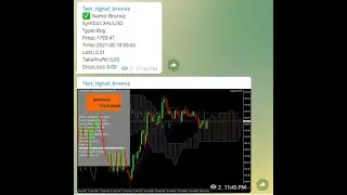Expert advisor (EA) mql4 send notification from MT4 to Telegram & facebook page