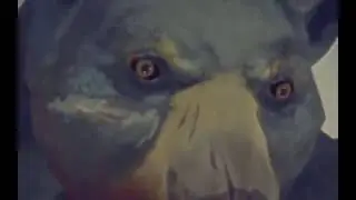 The Long Dark Медведь не надо !!!
