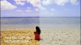 Beach Sunny Day LUT Cube for Adobe Premiere PRO, Davinci Resolve, Final Cut Pro
