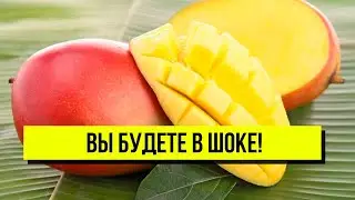 Манго в домашних условиях! Вы будете в шоке: нежный и сочный – радует глаз!