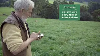 On-Farm With Dairy Farmer Bruce Roberts Discussing Pasture, Grazing and Farming