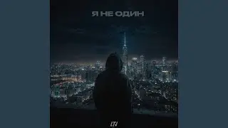 Я не один