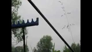 Подбор поводка и поимка леща