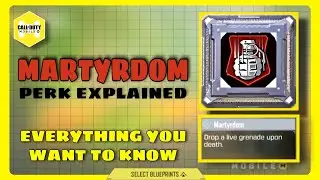 MARTYRDOM perk explained | codm | COD mobile | Call of Duty | season 6