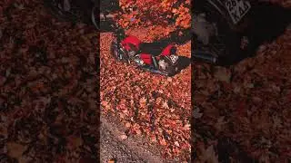 Осень 🍂 Иж Юпитер 5 ❤️
