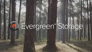 Evergreen Storage: Free Every Three