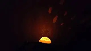 10 марта 2021 г.