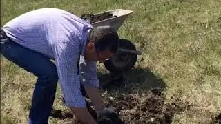 Mafehable'de Ağaç diktik