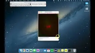 ImageJ/Fiji - The Image Window