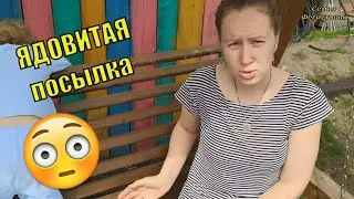 Лайфхак от Саши. Встретили ЛОСЕЙ./ Семья Фетистовых