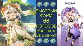 БЫСТРЫЙ ФАРМ 66 ЛОТОСОВ КАЛЬПАТА НА НАХИДУ ИЛИ ДОРИ. 
