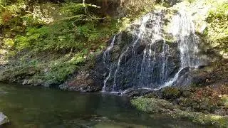 中野もみじ山