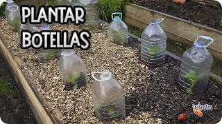CULTIVAMOS BOTELLAS - Porque poner botellas en tus cultivos! || La Huertina De Toni