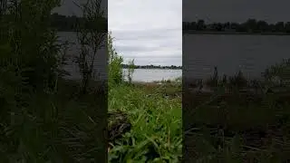 Relaxing by the Lake