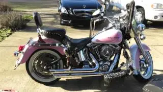 Viking Bags Review By Teri Anderson, The Biker Diva