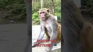 Мама мне 80₽ России заданатили 🤑 