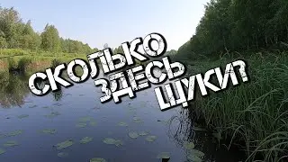 Сколько же щуки в этом старице? Ловля на неогруженную резину!
