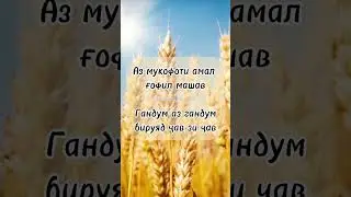 #tajik #love #tajikistan #насихат #таджикистан #шеър