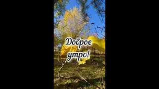 Добрый день! Сборная Союза 