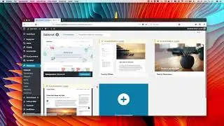 WP-Rollback használata