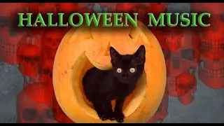 Halloween Music ♡ DO NOT LAUGH AT SKELETONS!!! 🎃