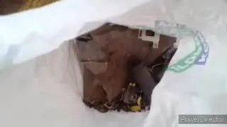 Сдал метал.