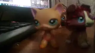 Свадьба