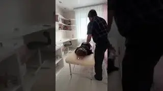Все в порядке? Нет! А-а-а!