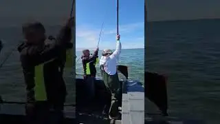 Catching an Alaskan Halibut
