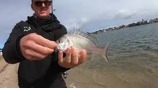 Bream Fun On Soft Plastics!!