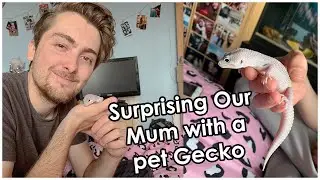 Surprising Our Mum with a pet Gecko