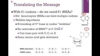185-Translating the Message