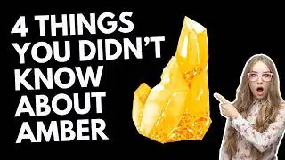 4 Things You Didn't Know About Amber