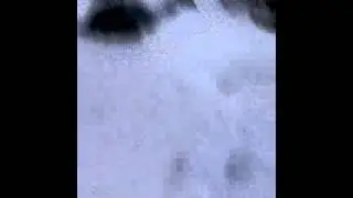 Сюцька от боди