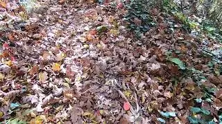 Анапа. И снова в горы👍