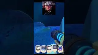 SlimeRanchers² This chickens are different.