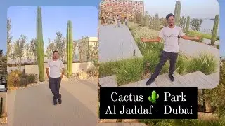 Cactus 🌵 Park | Al jaddaf | Dubai | UAE 🇦🇪