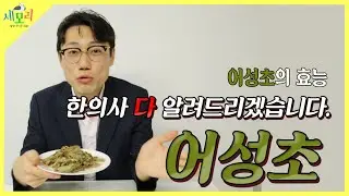 A Korean medicine doctor will tell you about the efficacy of Eoseongcho, which is said to be good...