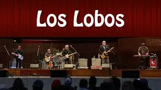 Los Lobos - Chicago Blues Festival - June 11, 2023