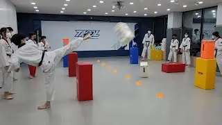 TATOOL 옆차기 피구 TAEKWONDO