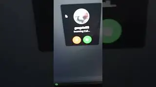 secret discord ringtone