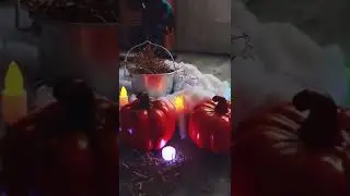 Создай на Хэллоуин чертенка - котенка Исидору!