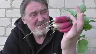 Дела мои земельные 3