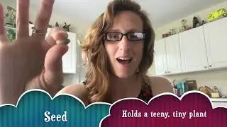 Seed Germination: Part 1