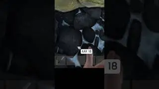 Пасхалки игры раст/rust #Shorts #Rust #Раст