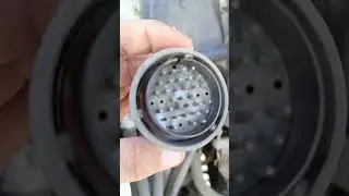 #МАЗ Жгуты под капотом. Диагностика ЯМЗ 8(962)208-88-44