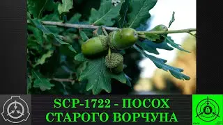 SCP-1722 - Посох старого ворчуна
