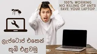 Remove Ants from Laptop | ලැප්ටොප් එකෙන් කූඹින්ව අයින් කරමු | Science for Life - Episode 01