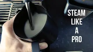 How To Steam Milk Like A Pro! | Barista Basics