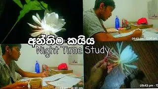 අන්තිම කයිය! Study vlog🔥😲Night time study vlog | Productivity day vlog #Dayvlog#Studyvlog